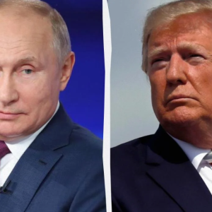 Трамп і Путін обговорили Україну, Іран і фільми про "традиційні цінності", - Кремль
