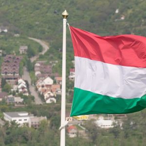 Посла Украины вызвали в МИД Венгрии из-за снятия венгерского флага на Закарпатье