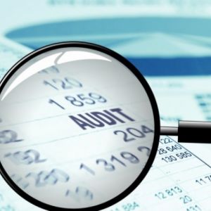 Южный офис Госаудитслужбы вернул в бюджет порядка 60 миллионов гривен