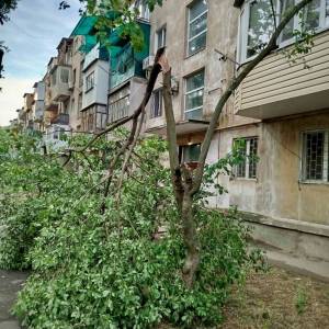 В Ізмаїлі ліквідовують наслідки нічної негоди