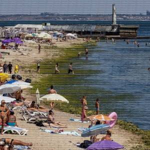 Одеське узбережжя заполонили тонни водоростей
