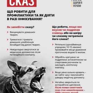 На Одещині кількість хворих на сказ зростає — причини