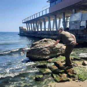 Чому «цвіте» море біля одеських пляжів – екологи назвали причину