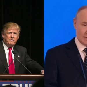 Я не думаю, що ми зможемо домогтися негайного припинення вогню, - Трамп