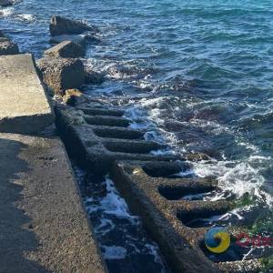 Морські «страшилки», інвазійні види та як війна змінила промисел і дослідження в Одеській затоці: вчений розповів про реалії Чорного моря
