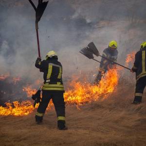 Майже півтисячі займань за тиждень: на Одещині збитки від пожеж в екосистемах перевищили 29 мільярдів