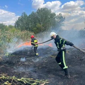 В Ізмаїлі сталася маштабна пожежа на Лебяжому озері