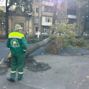 Через вітер в Одесі падають дерева та зупиняється транспорт
