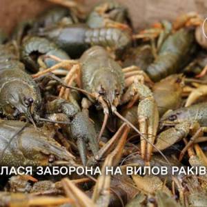 На Одещині завершилася заборона на вилов раків
