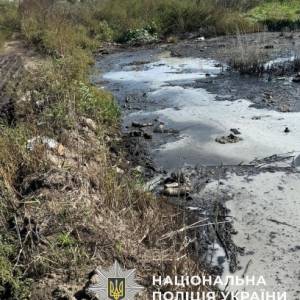 Колишній керівник колективного підприємства Саф’янівської громади за порушення правил екологічної безпеки отримав обвинувальний вирок суду