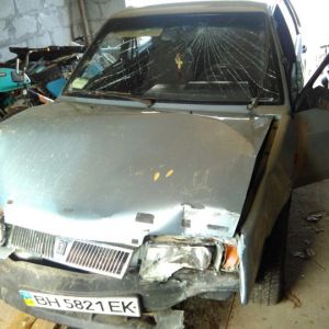 В Озерном ночью водитель ВАЗа наехал на опору ЛЭП и покинул место происшествия, но избежать наказания не удалось (ФОТО)