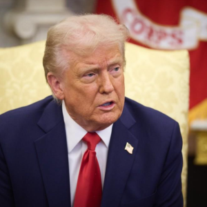 Трамп зробив несподівану заяву про прогрес у війні в Україні