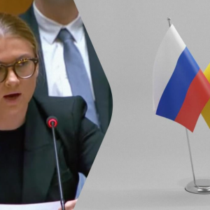"Земля не продається": Україна озвучила в ООН свої "червоні лінії" щодо переговорів з РФ