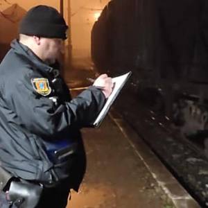 На Одещині жінка загинула під потягом, намагаючись впіймати козу