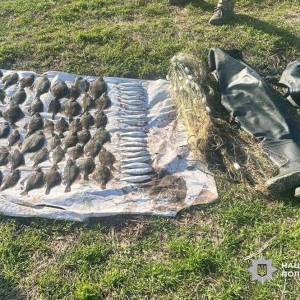 У заповідній зоні на Одещині затримали браконьєрів із уловом камбали та кефалі