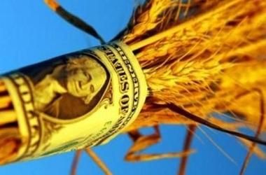 Из Одесской области экспортируют в основном сельхозпродукцию Из Одесской области экспортируют в основном сельхозпродукцию