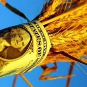 Из Одесской области экспортируют в основном сельхозпродукцию