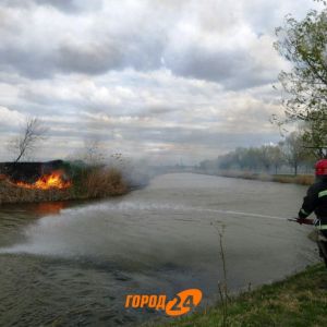 В Измаиле масштабный пожар: горят плавни на Лебяжьем озере (фоторепортаж)