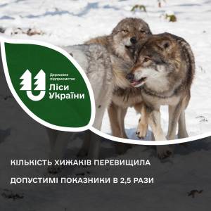 На півдні України чисельність хижаків у мисливських угіддях перевищила норму у 2,5 раза