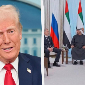 Мирний план Трампа буксує: переговори України та РФ натрапили на три головні проблеми, - Politico