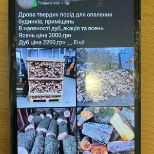 Продавав не дрова, а повітря: житель Ізмаїла, перебуваючи в СІЗО, організував шахрайський бізнес