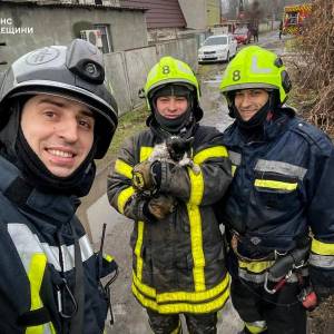 В Одесі вогнеборці під час пожежі врятували кота