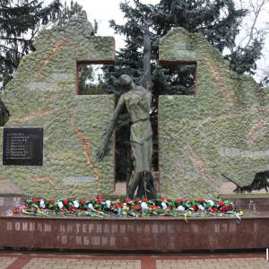 В Ізмаїлі 15 лютого відбулась урочиста церемонія покладання квітів з нагоди Дня вшанування учасників бойових дій на території інших держав