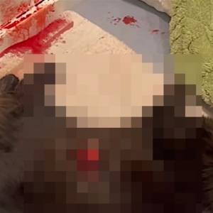 В Ізмаїлі куля пробила дах будинку та вбила домашнього улюбленця під час роботи ППО