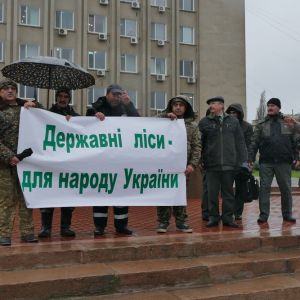 В Измаиле прошла акция в защиту лесных богатств Украины