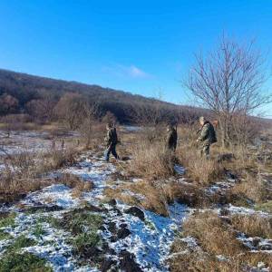 На Одещині під час відстрілу лисиць і шакалів зафіксували порушення
