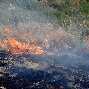 На Одещині чоловік намагався свмостійно загасити пожежу і отримав опіки 90% поверхні тіла