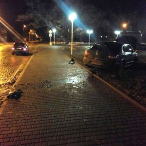 В Измаиле ночью у памятника А.Суворову очередной гонщик влетел в клумбу (ФОТО)