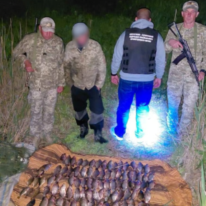 На Одещині браконьєри наловили риби на 250 тисяч гривень