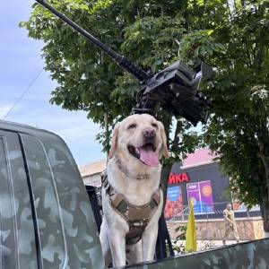 Стало відомо, які несподіванки чекають на ворога на Одещині