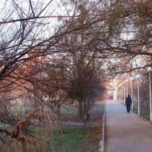 Погода в Измаиле 22 декабря