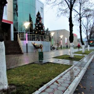 Погода в Измаиле сегодня, 23 декабря