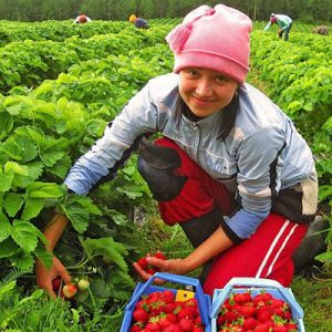Польша принимает украинских беженцев и увеличила сроки легальной работы