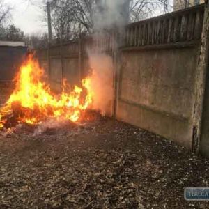 Полиция Измаила сожгла более 50 кг наркотиков (фото)
