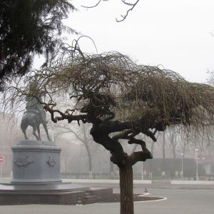 Погода в Измаиле сегодня