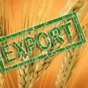 Украина больше не сможет поставлять в ЕС без пошлин пшеницу, кукурузу, мёд и соки