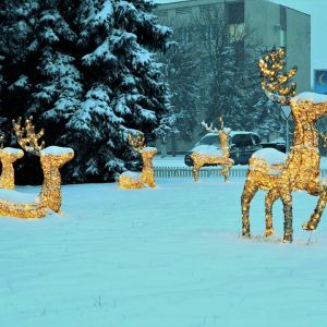 В Измаиле и Измаильском районе ситуация на дорогах - стабильная, проезд возможен, вопрос о перекрытии дорог пока не стоит