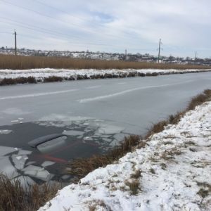 Под Измаилом на скользкой трассе автомобиль слетел в канал и утонул. Водитель выбрался через окно и выплыл в ледяной воде на берег (ВИДЕО, ФОТО)
