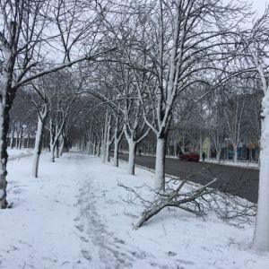 Полтысячи населенных пунктов Одесской области остаются обесточены