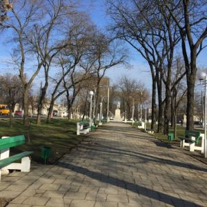 В Измаиле спецотряд "Картал" задержал молодых людей, которые в парке сломали скамейку и разбили семь фонарей