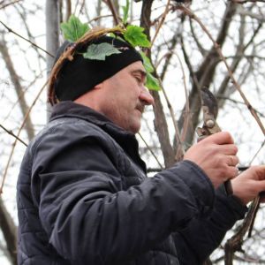 В Измаиле болгары чтят кумира виноградников - святого Трифона Зарезана (ФОТО)