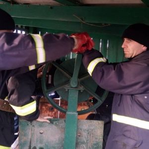 Судмедэксперт установил причину смерти мужчины, найденного в колодце в Рени