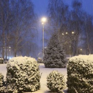 Погода в Измаиле сегодня, 23 февраля