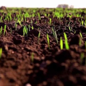 Аграрии Одесской области начали подготовку к весенне-полевым работам