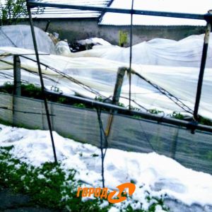 В Утконосовке подсчитывают убытки, нанесенные стихией (фото)