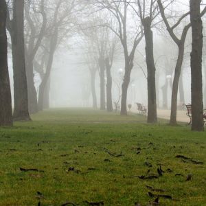 Погода в Измаиле сегодня